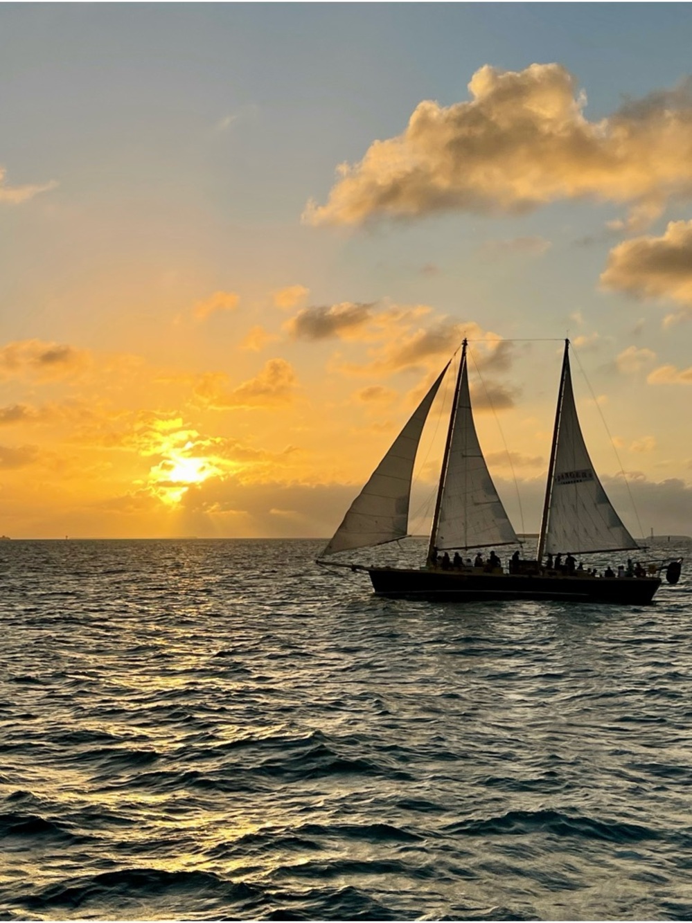 Meet your Posher, Jenny